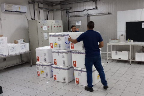 Minas Gerais inicia distribuição de 640 mil doses da vacina contra a Influenza