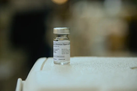 Vacinas mais modernas podem prevenir nova pandemia