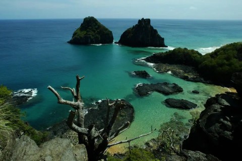 Quase 50% dos turistas usam redes como fonte de informação de viagem