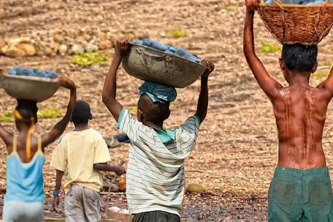 Brasil tem redução recorde na lista Piores Formas de Trabalho Infantil