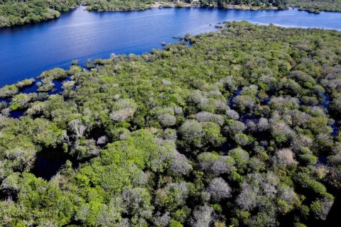Desmatamento em áreas protegidas da Amazônia e do Cerrado tem queda