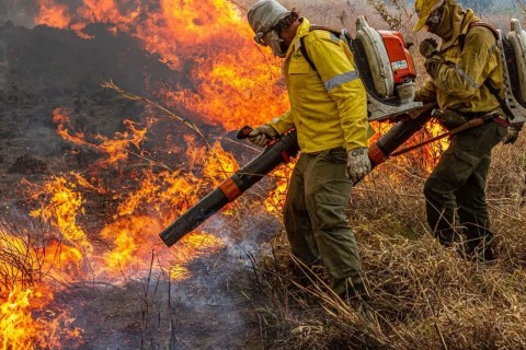 Governo repassa R$ 337 milhões para combate a incêndios e desmatamento