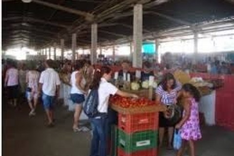 Feira Livre Municipal retoma atividades neste domingo (15)