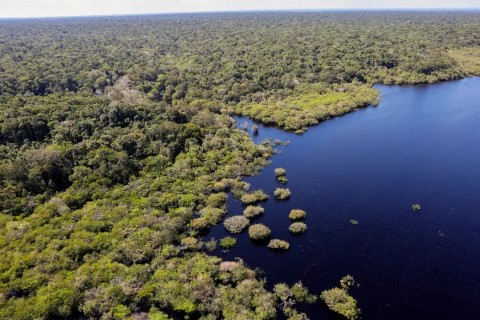 Amazônia e Cerrado registram queda de 11% no desmatamento