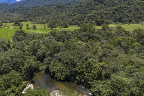 Brasil diminui em 43% área de vegetação nativa fragmentada