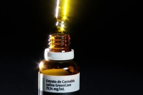 Anvisa aprova cultivo de cannabis por empresas e amplia acesso