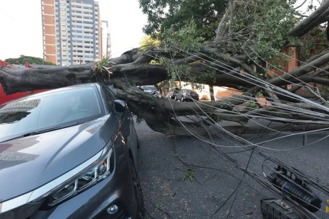 Cinco dias após ciclone, 30 mil clientes estão sem energia em SP