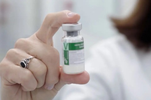 Anvisa publica registro da vacina contra a dengue do Butantan