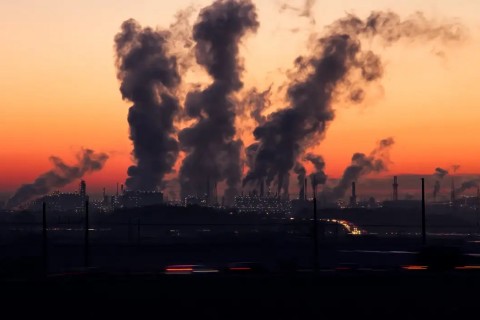 Sair da Convenção do Clima "é gol contra" dos EUA, diz Stiell