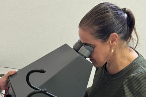 Exames médicos e psicológicos para CNH terão valor reduzido Minas Gerais a partir desta quarta-feira (31/12)