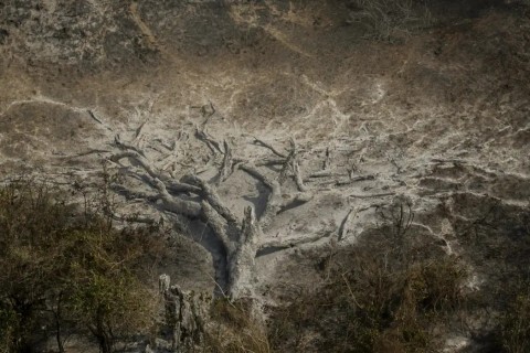 Mudanças climáticas já afetam 85% dos brasileiros, diz pesquisa