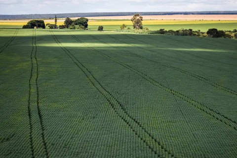 Senado aprova plano para fabricação de fertilizantes no Brasil