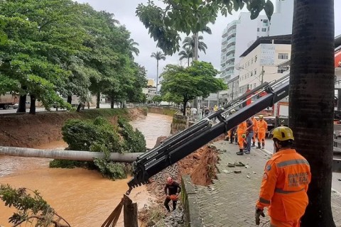 Interdição parcial na Avenida Beira-Rio para remoção de Palmeiras Imperiais