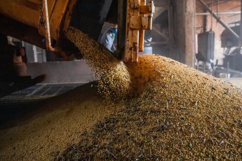 Economia brasileira cresce 1,1% no 1º trimestre