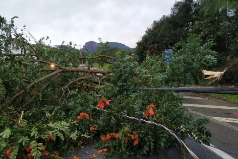Alerta de tempestade: frente fria amplia instabilidade na Região Sul